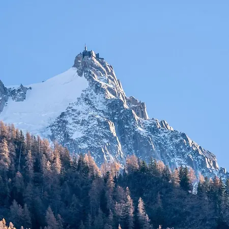 Batiment D * Chamonix